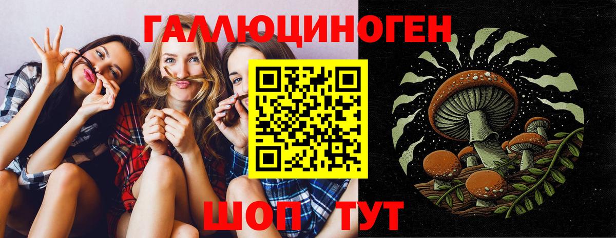 Псилоцибиновые грибы Cubensis Малгобек