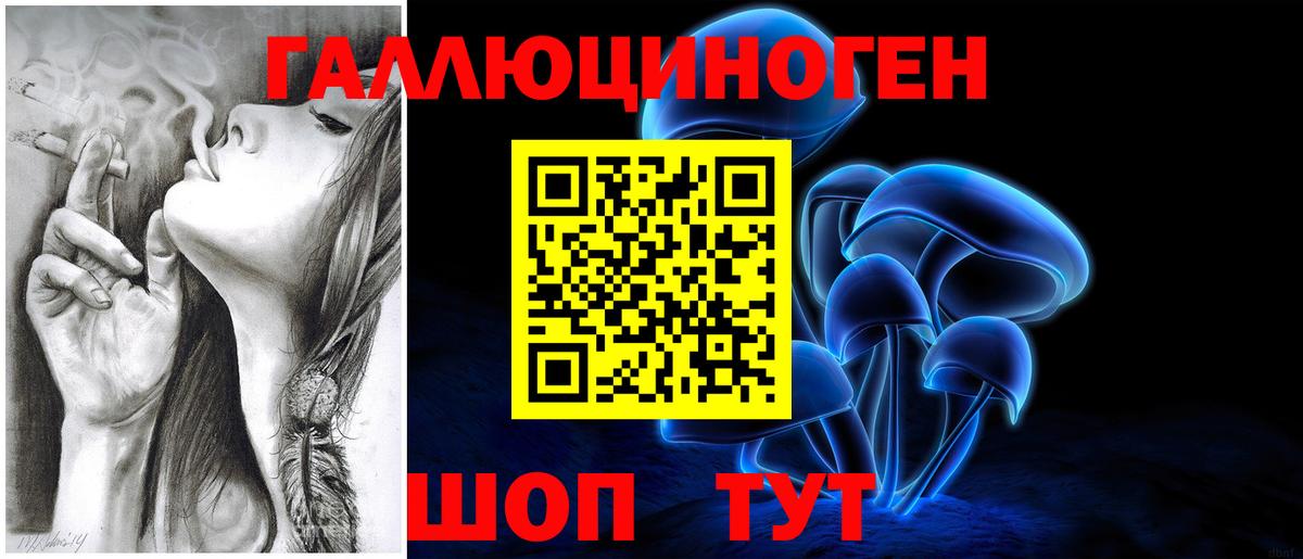 Малгобек  Псилоцибиновые грибы MAGIC MUSHROOMS  Вход с VPN 